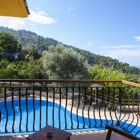 Mandarin & Mango Boutique فندق