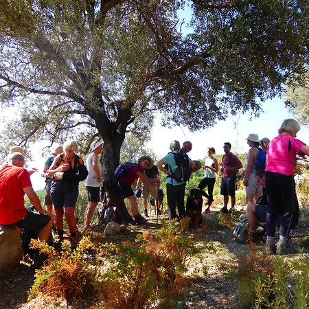 Mandarin & Mango Boutique 3*