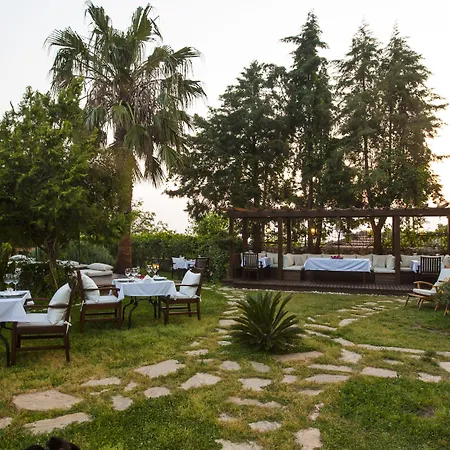 Mandarin & Mango Boutique فندق فاراليا