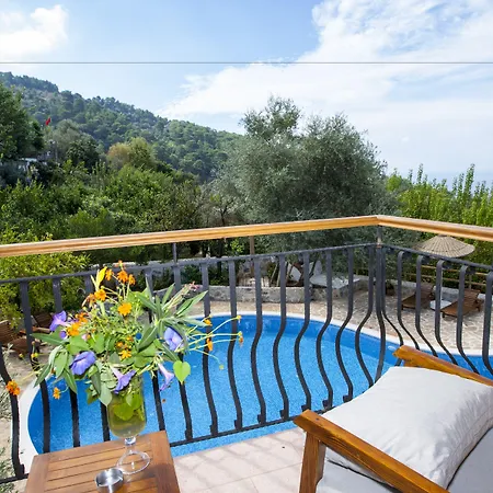 מלון Mandarin & Mango Boutique 3*