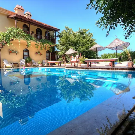 Mandarin & Mango Boutique 3* פאראליה