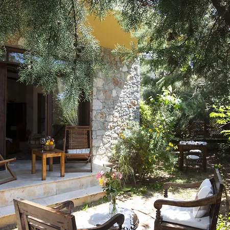 Mandarin & Mango Boutique מלון 3*