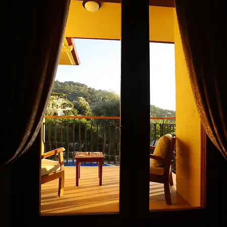 Mandarin & Mango Boutique מלון 3*