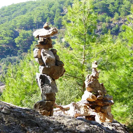 Mandarin & Mango Boutique 3*