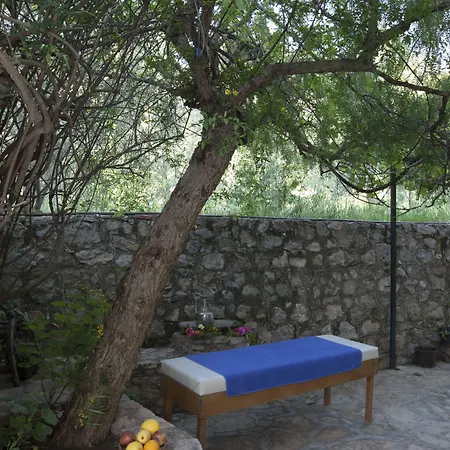 Mandarin & Mango Boutique Hotel