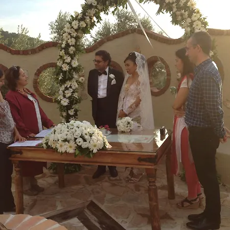 호텔 Mandarin & Mango Boutique 파랄리아