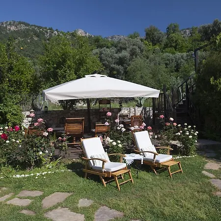 Mandarin & Mango Boutique Szálloda 3*